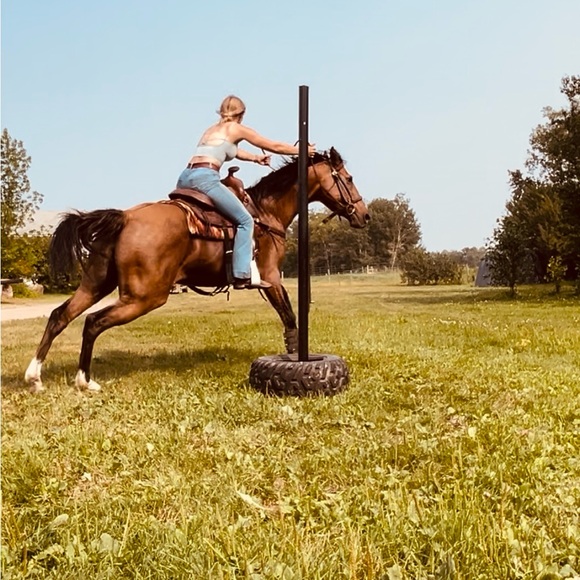 Meet your Posher, Taylor - Picture 1 of 4